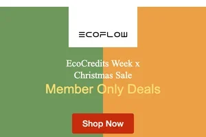 EcoCredits Week: Festive Deals for Members 🎄