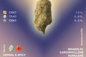 🌕 CBD Moonrocks: What's Behind Them?