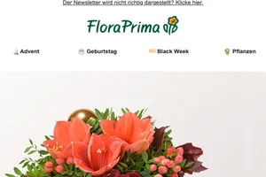 Letzte Chance für den 1. Advent! Verschicke heute noch zauberhafte Adventsgrüße🎄🎁