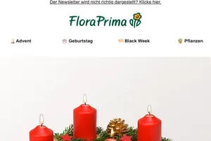 Sag’s mit Blumen – festliche Grüße voller Herzenswärme 💝