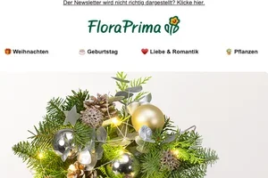 Endspurt für Deine Weihnachts-Blumengrüße 🎄