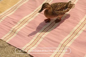 Letzte Stücke von Dalfilo