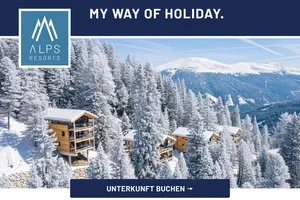 Das perfekte Last Minute Geschenk 🎁