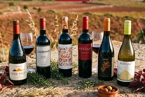 🍷 Borsao on sale