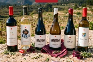 The winery you have to discover