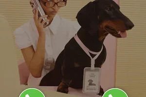 📞📞📞
