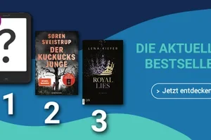 Welches eBook hat es auf Platz 1 der Bestsellerliste geschafft? 📖✨