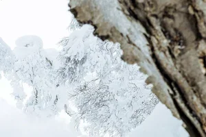 Protection without limits ⛷️ - mit den EVOC PROTEKTORENWESTEN