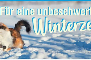 Gut begleitet durch den Winter