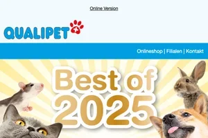 Best of 2025 – die beliebtesten Produkte im Rampenlicht 🔥