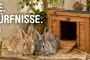 Kleintiere, Vögel & Fische im Fokus 🐹