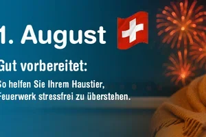 Feuerwerk im Anflug? Jetzt vorsorgen 🎇