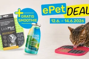 Nur bis Sonntag: Gratis Smoothie zur LickiMat 🎁