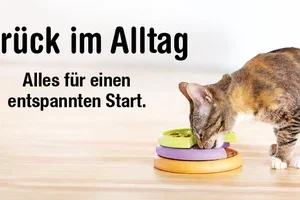 Zurück im Alltag – alles für einen entspannten Start