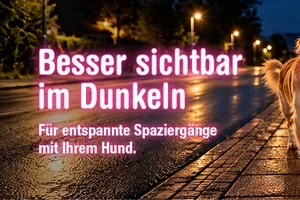 Mehr Sichtbarkeit für Ihren Hund 🌙