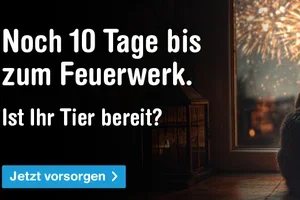 Nur noch wenige Tage bis zum 1. August