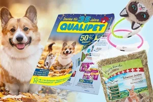 Bis zu 50% Rabatt auf Tierbedarf 🐾