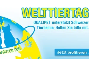 10% Rabatt zum Welttiertag 🐾