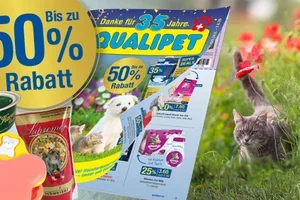 Nur noch kurze Zeit: Bis zu 50 % sparen