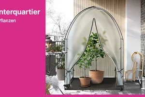 Ihre Pflanzen brauchen ein Winterquartier