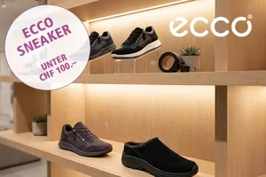 Ecco Komfort unter CHF 100.–