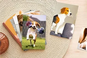 Ihre liebsten Haustierfotos 📸 🐾