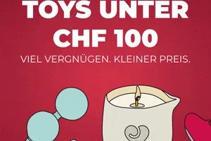 Dein neues Lieblings-Toy – unter CHF 100 😈