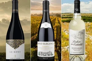 Drei Spitzenweine, halber Preis – nur heute! 🍷