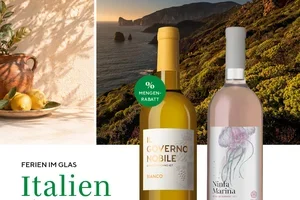 La dolce vita im Glas – Italienische Weine entdecken
