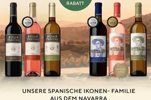 Navarra im Glas – Ikonen mit spanischem Charakter🍷