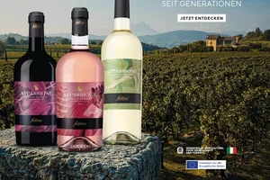 Tinazzi: Die Handschrift Venetiens im Glas