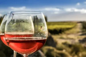 Die perfekten Sommerweine – jetzt mit bis zu 40% Vorteil