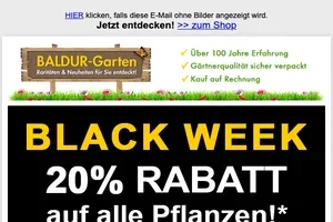 🤩🖤BLACK WEEK-Zeit ist CHRISTROSEN-Zeit