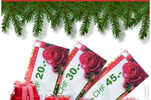 🎁 Ein Geschenk für Ihre Liebsten, Frau De?