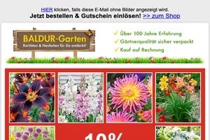🌼 JETZT: 10% RABATT auf alle Blumenzwiebeln!