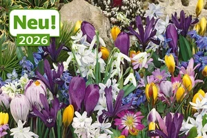🌷💚 Nur noch 3 Tage: 12% RABATT auf Blumenzwiebeln