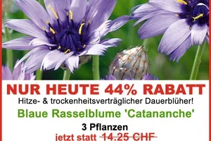⏳🤩 NUR HEUTE: FLASHSALE 44% RABATT auf diesen Artikel