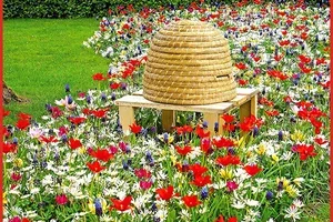 🎁 🐝 50 GRATIS*-Zwiebeln "Bienenkorb", für Sie Frau De