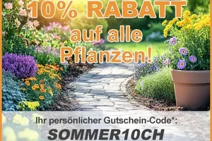 🧡💛JETZT pflanzen und 10% sparen!