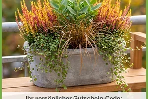 🤩12% Aktionswoche "mach’ den Garten wieder flott🪏"