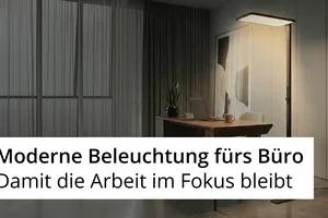 Bring Licht in dein Büro 🌟