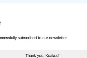 Newsletter subscription success