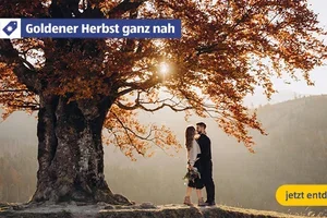 Wohin im Herbst? 🍂