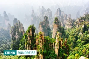 Grüezi De, die neuen Angebote sind da!