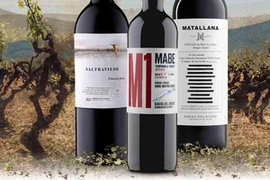 Ribera del Duero: Wer probiert hat, weiss es.