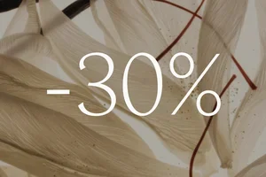 30 % RABATT läuft bald ab...