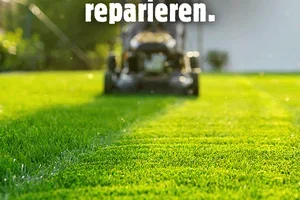Rasen reparieren? 🌱💧 Am besten vor dem ersten Frost!