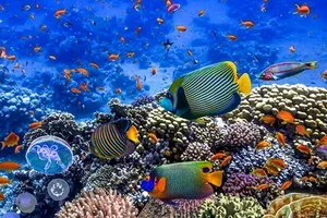 🌞 Sommer, Sonne, Sehnsuchtsorte: Unsere Top 5 für dich