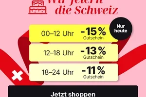 13% Gutschein: Nur noch 1 Stunde! ⚡