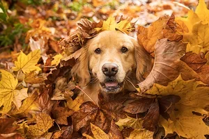 Saleduck entdecke unsere beliebtesten Kategorien